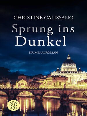 cover image of Sprung ins Dunkel